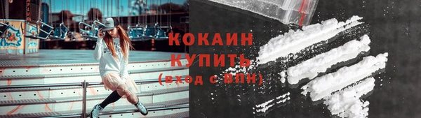 мяу мяу мука Гусь-Хрустальный