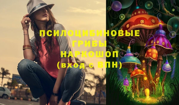 mix Гусев