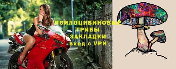 таблы Гусиноозёрск