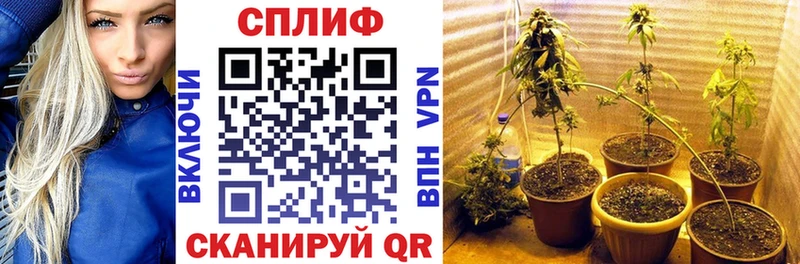 где можно купить наркотик  Нерехта  даркнет официальный сайт  МАРИХУАНА MAZAR 